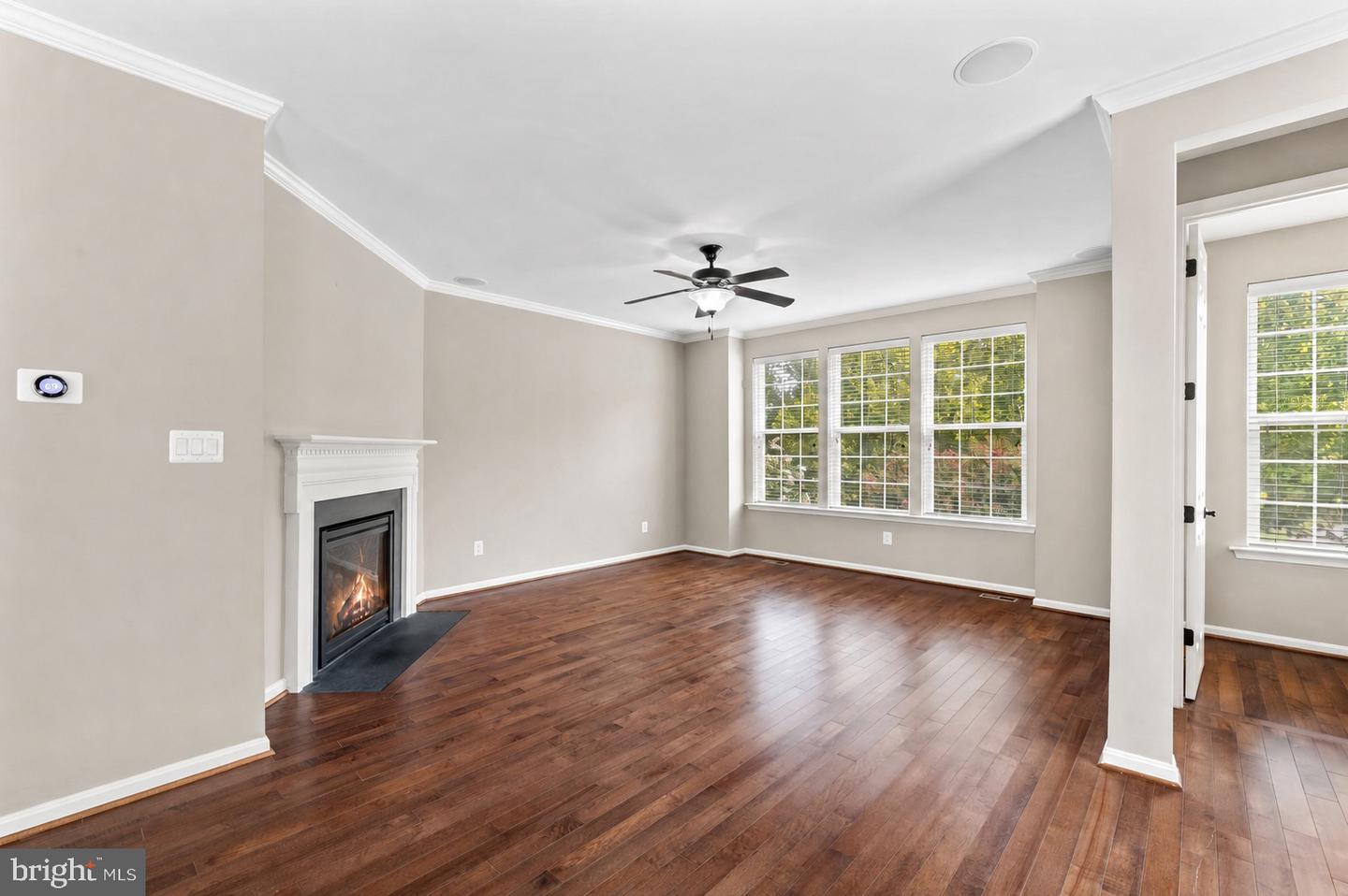 100 Blackgum Ct Property Photo 18