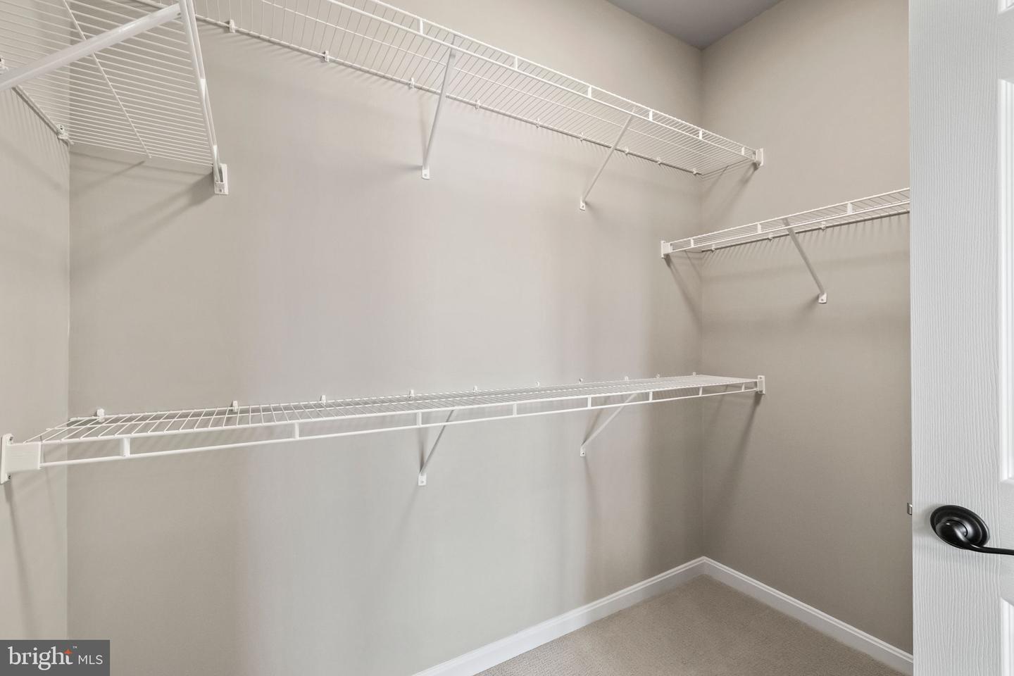 100 Blackgum Ct Property Photo 26