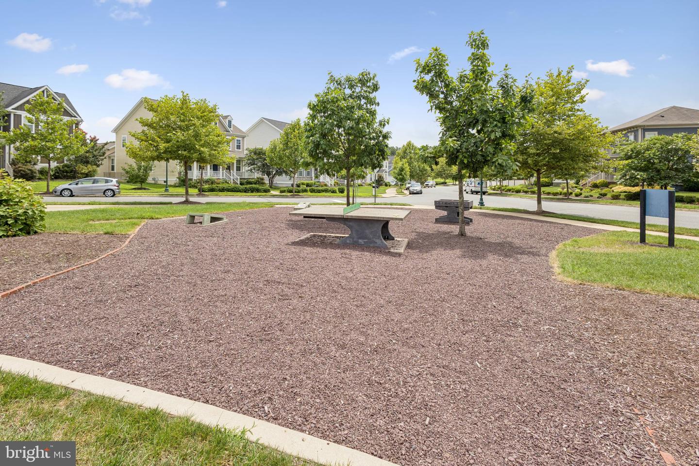 100 Blackgum Ct Property Photo 73