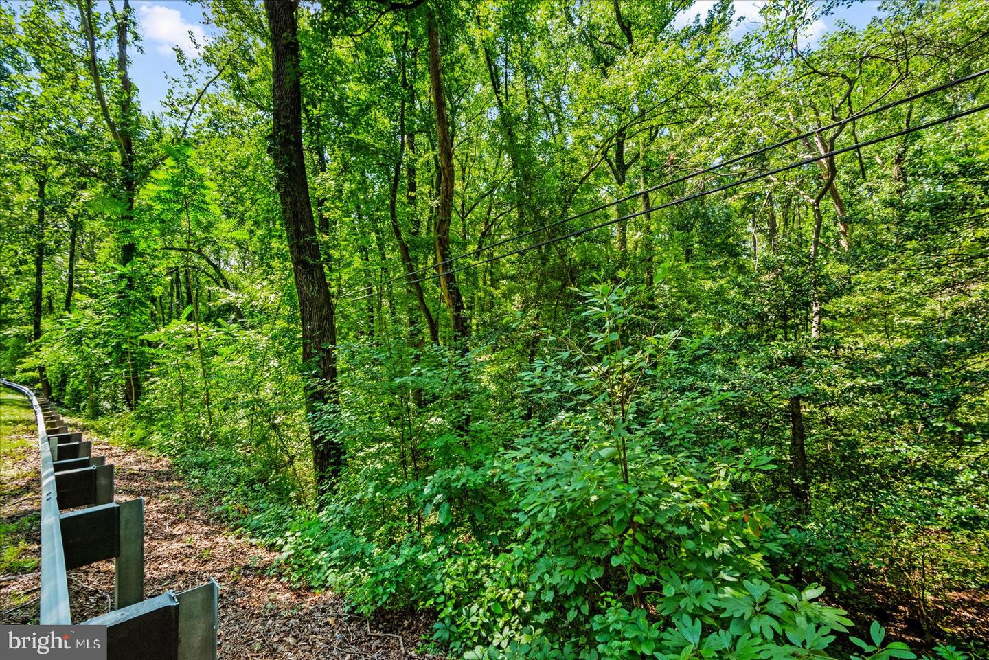 35 Boggy Creek Property Photo 3