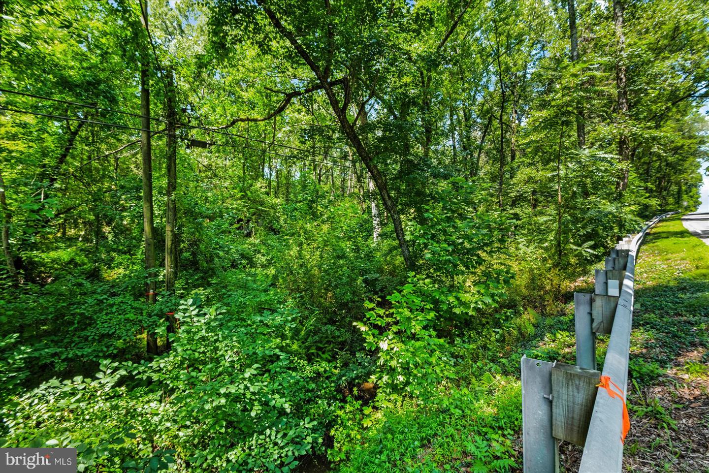 35 Boggy Creek Property Photo 4