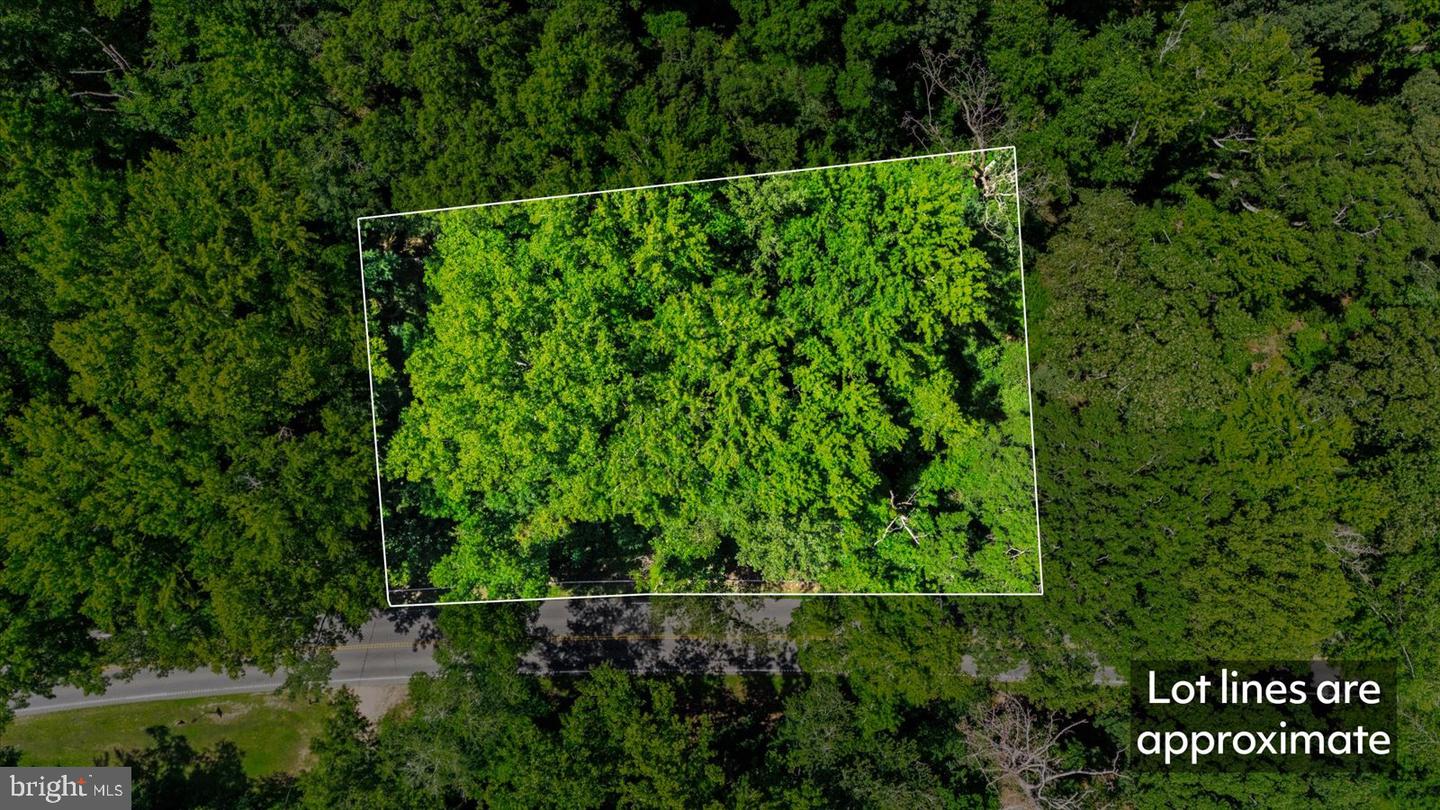 35 Boggy Creek Property Photo 5