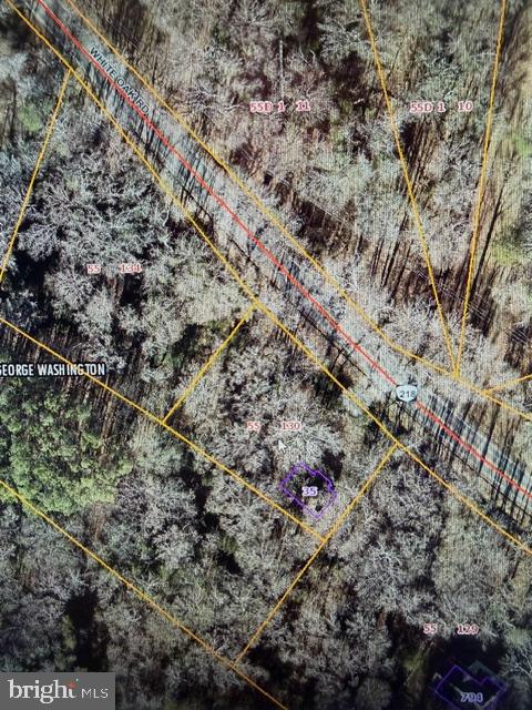 35 Boggy Creek Property Photo 7