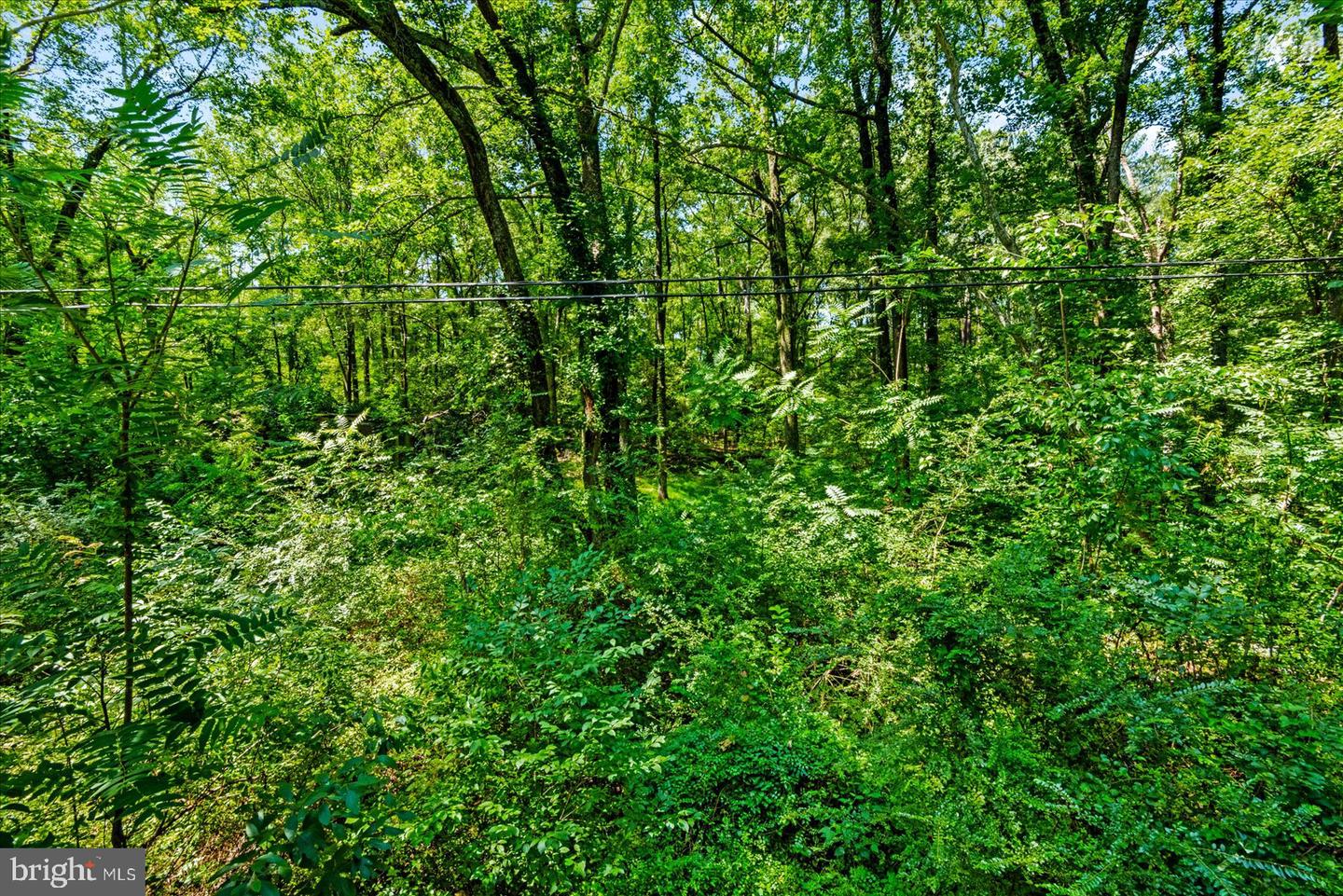 35 Boggy Creek Property Photo 9