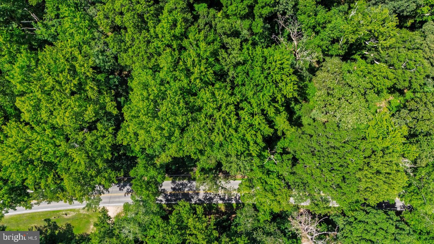 35 Boggy Creek Property Photo 11