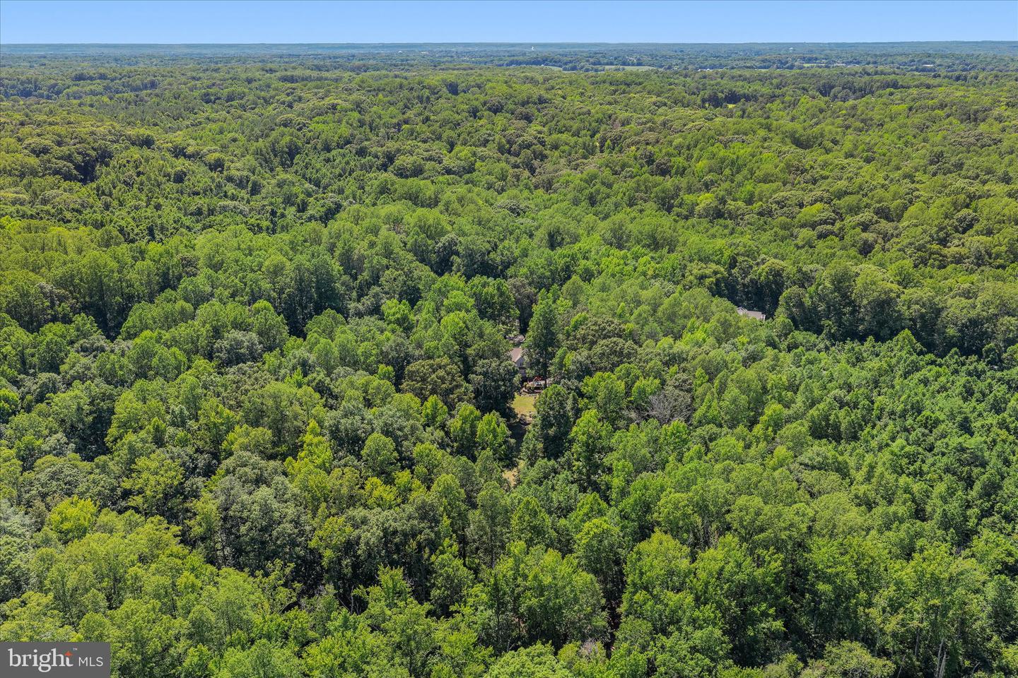 300 Sandy Ridge Rd Property Photo 66