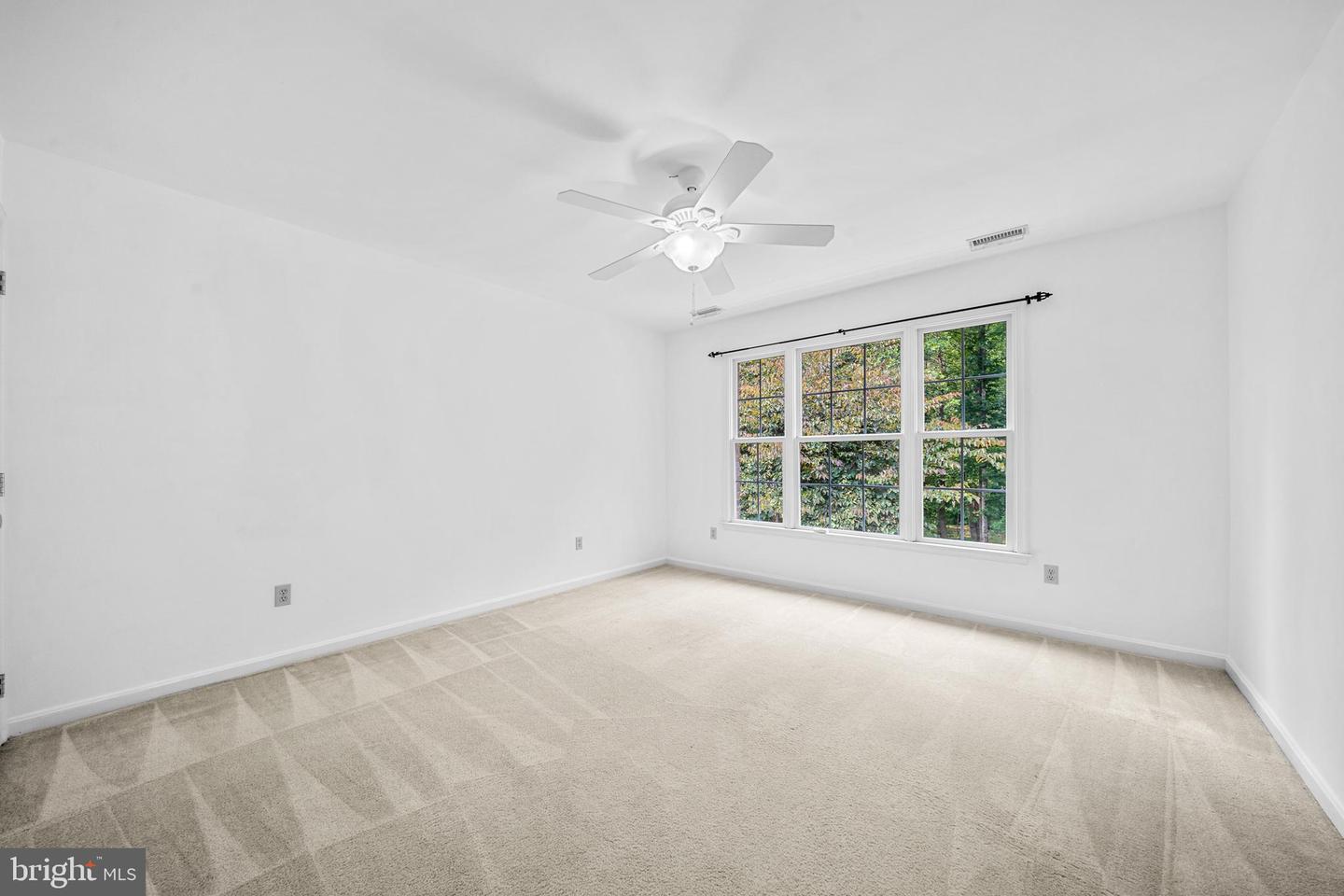 35 Park Rd Property Photo 42