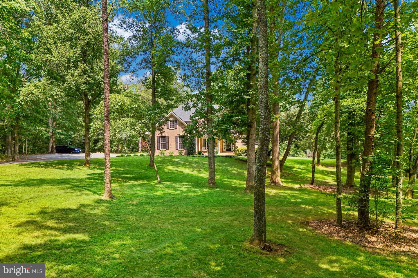 35 Park Rd Property Photo 79