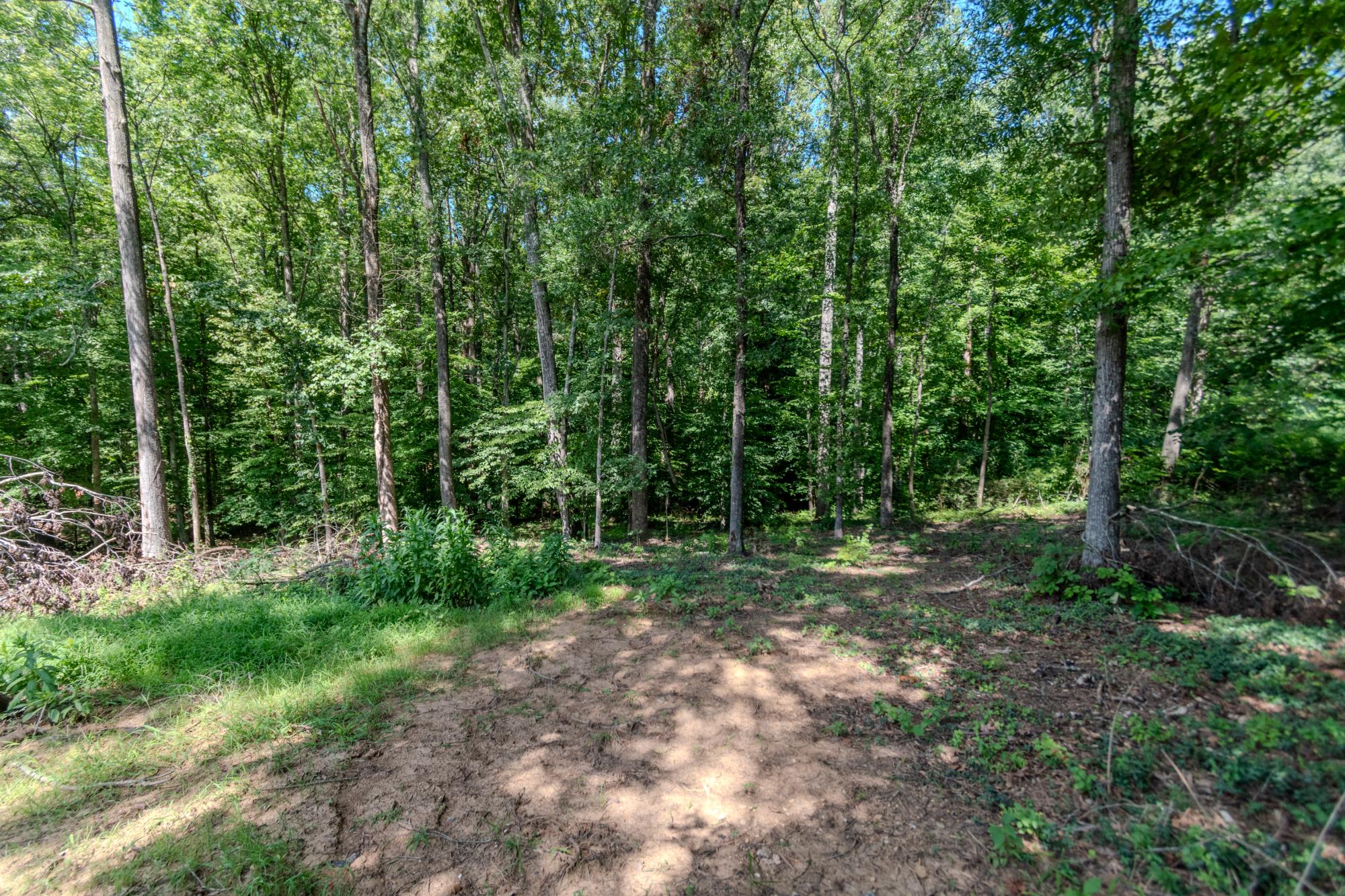 428 Ingleside Drive Property Photo 35