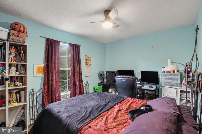 9 Alf Lane Property Photo 13