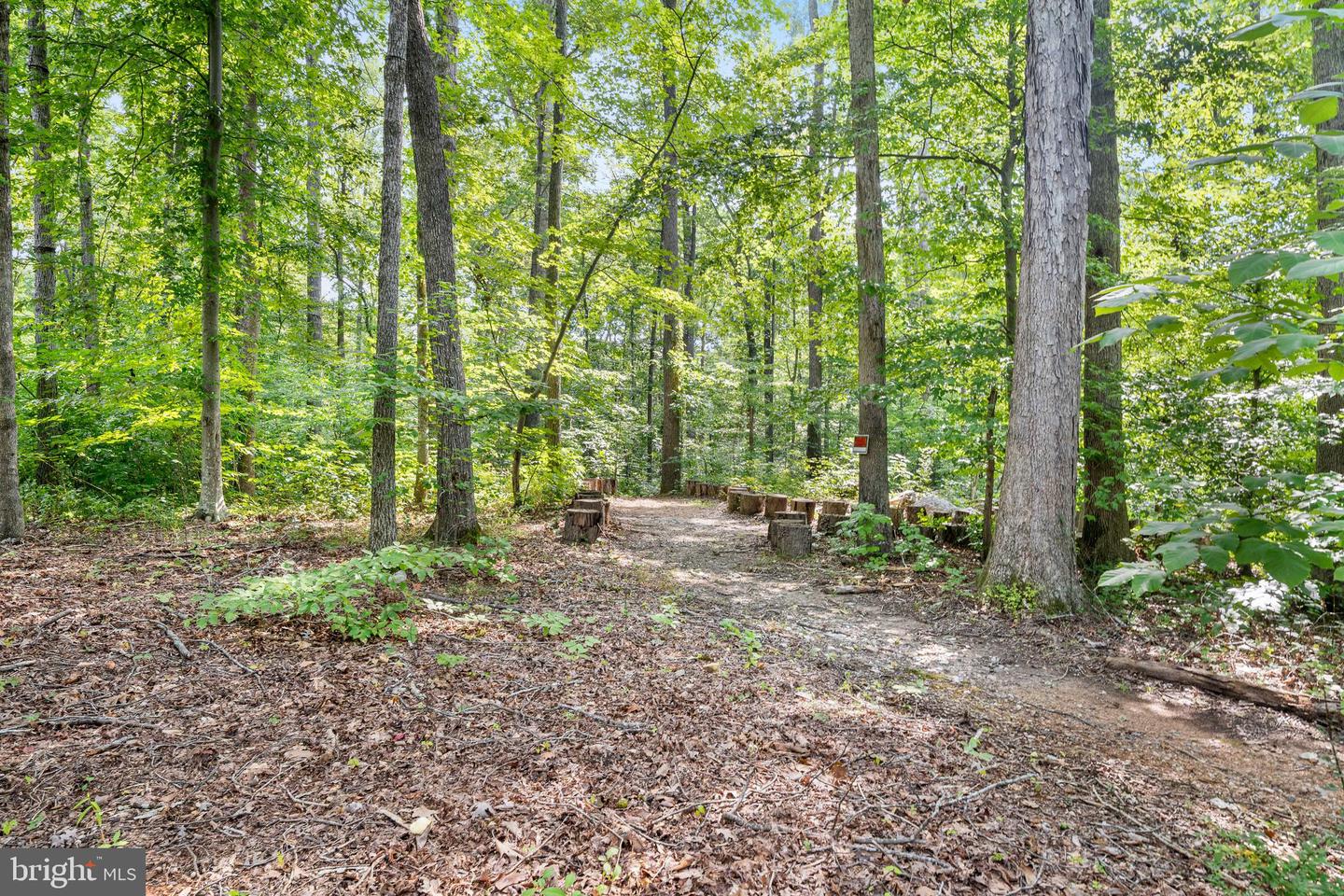316 Tacketts Mill Rd Property Photo 50