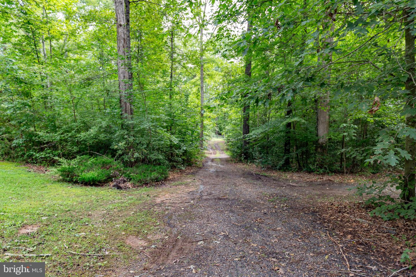 37 Koval Ln Property Photo 57