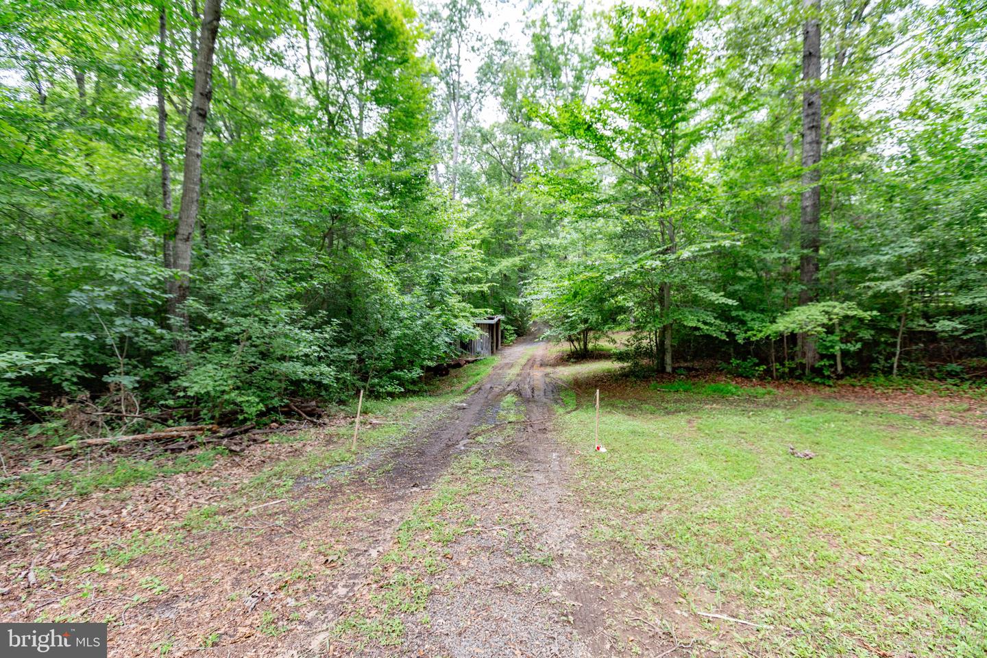 37 Koval Ln Property Photo 59