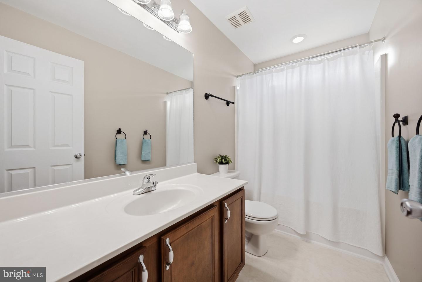 3 Gallery Rd Property Photo 45