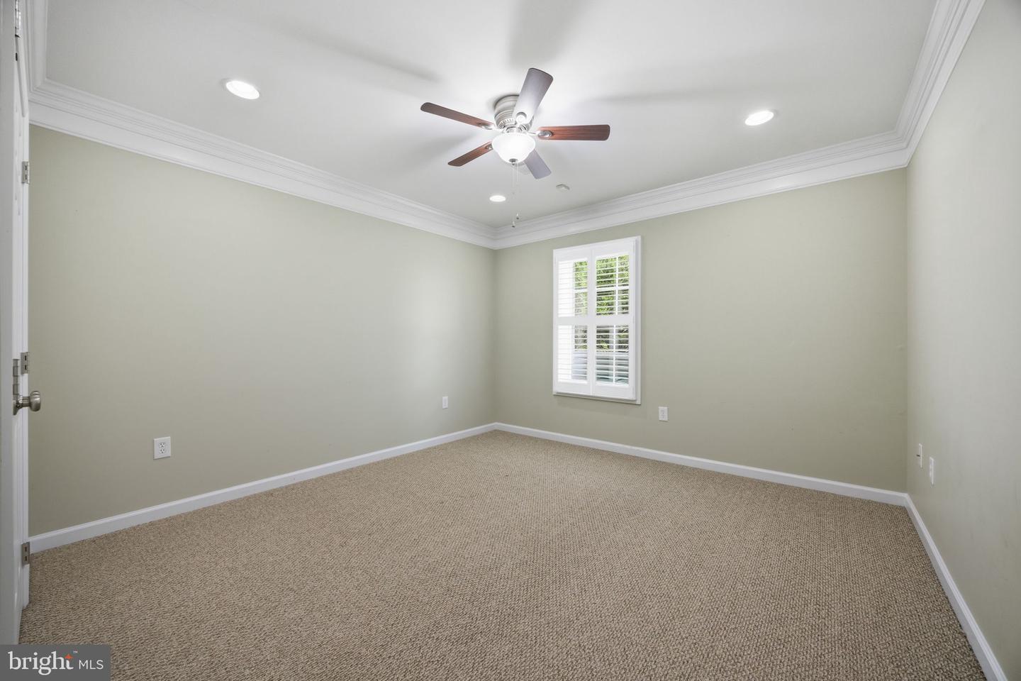 3 Gallery Rd Property Photo 55