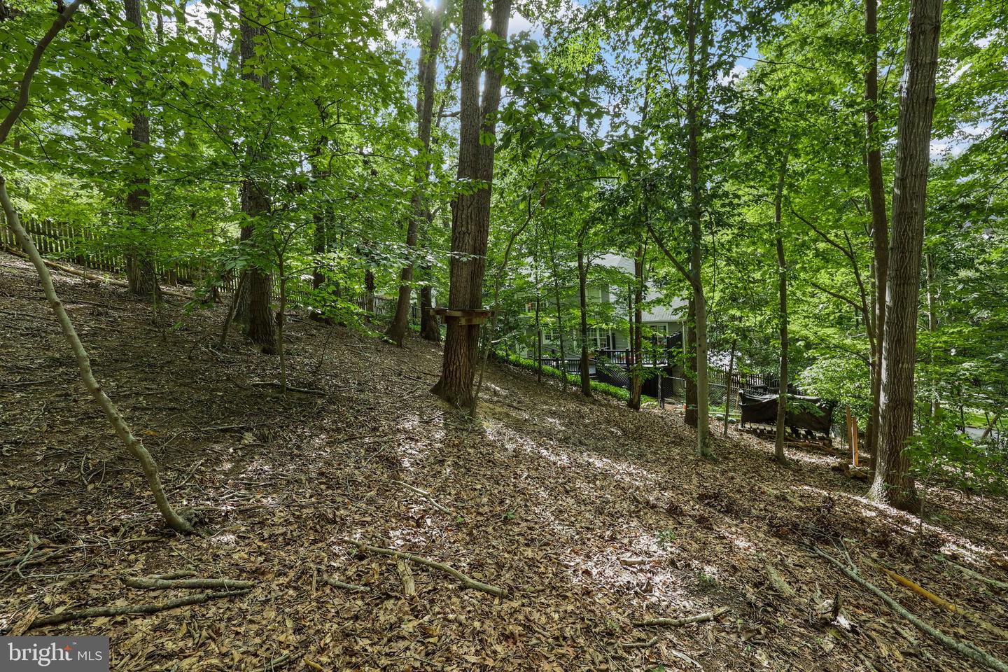 317 Cutter Cv Property Photo 64