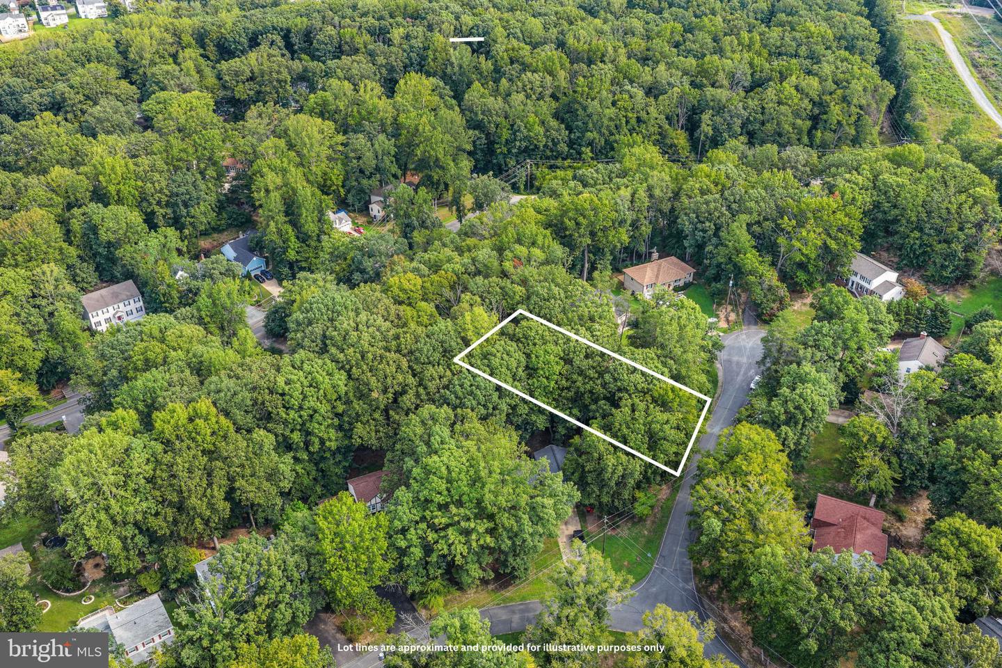 202 Wilson Cv Property Photo 4