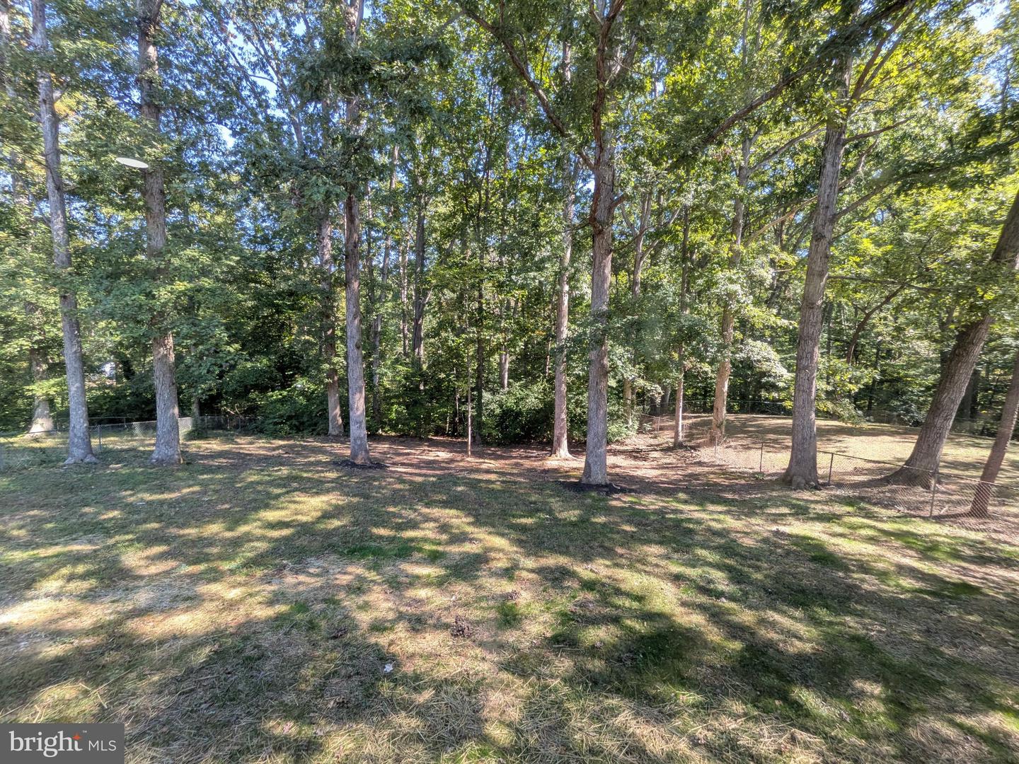 15 Winston Pl Property Photo 31