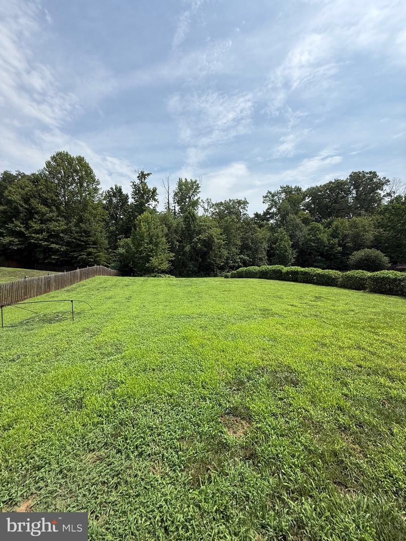 64 Riggs Rd Property Photo 31