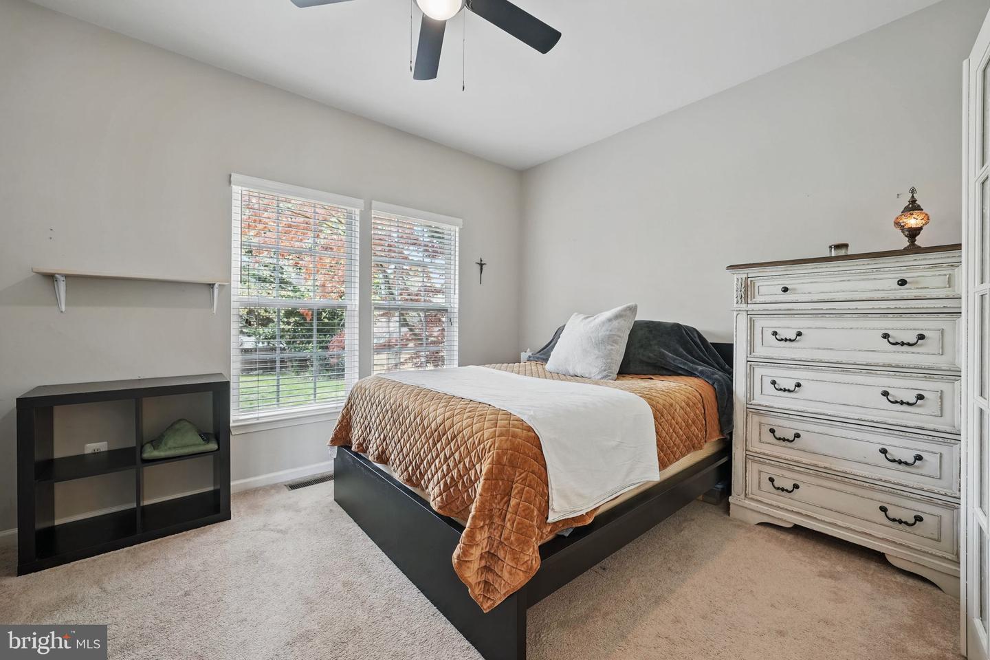 18 Bruce St Property Photo 18