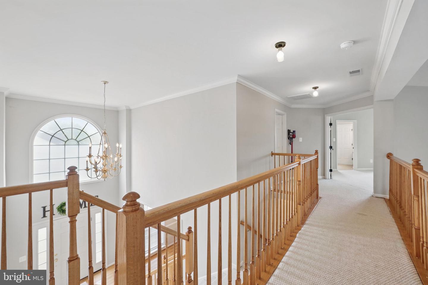 18 Bruce St Property Photo 27