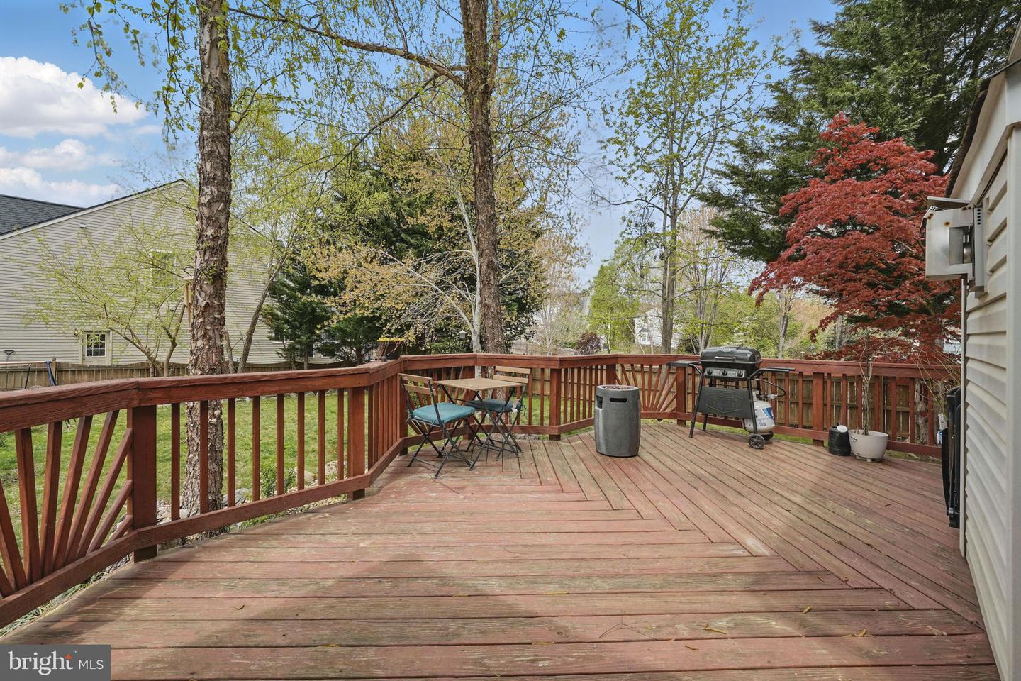 18 Bruce St Property Photo 45