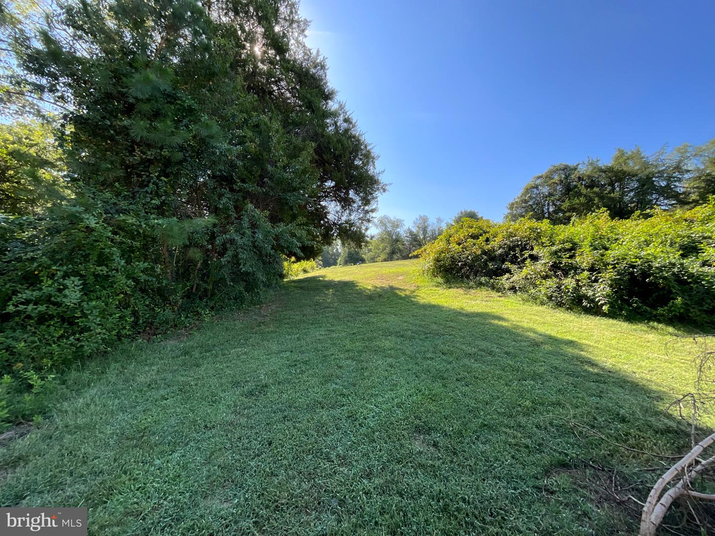 151 Andrew Chapel Rd Property Photo 10