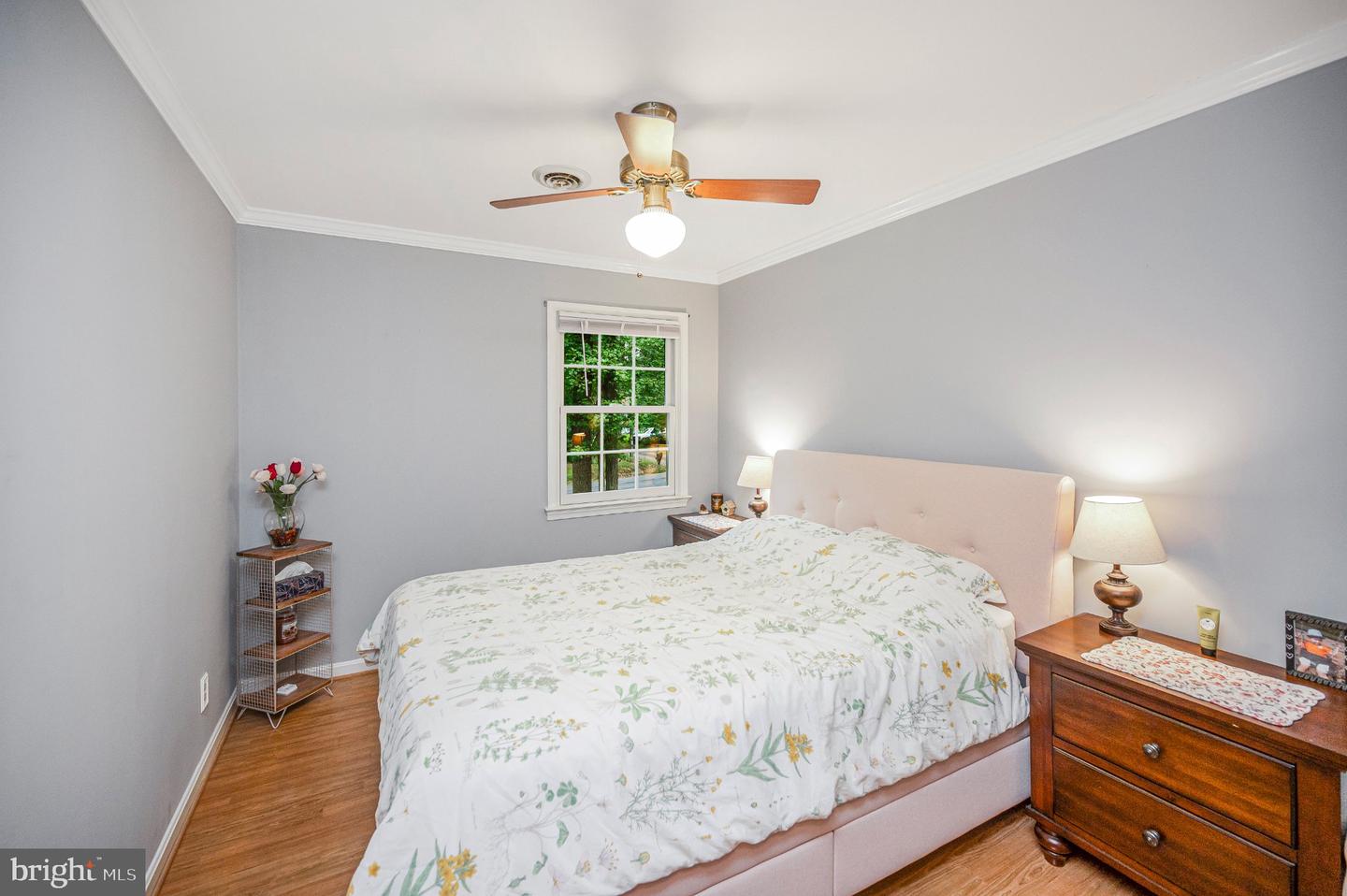 3 Franklin St Property Photo 35