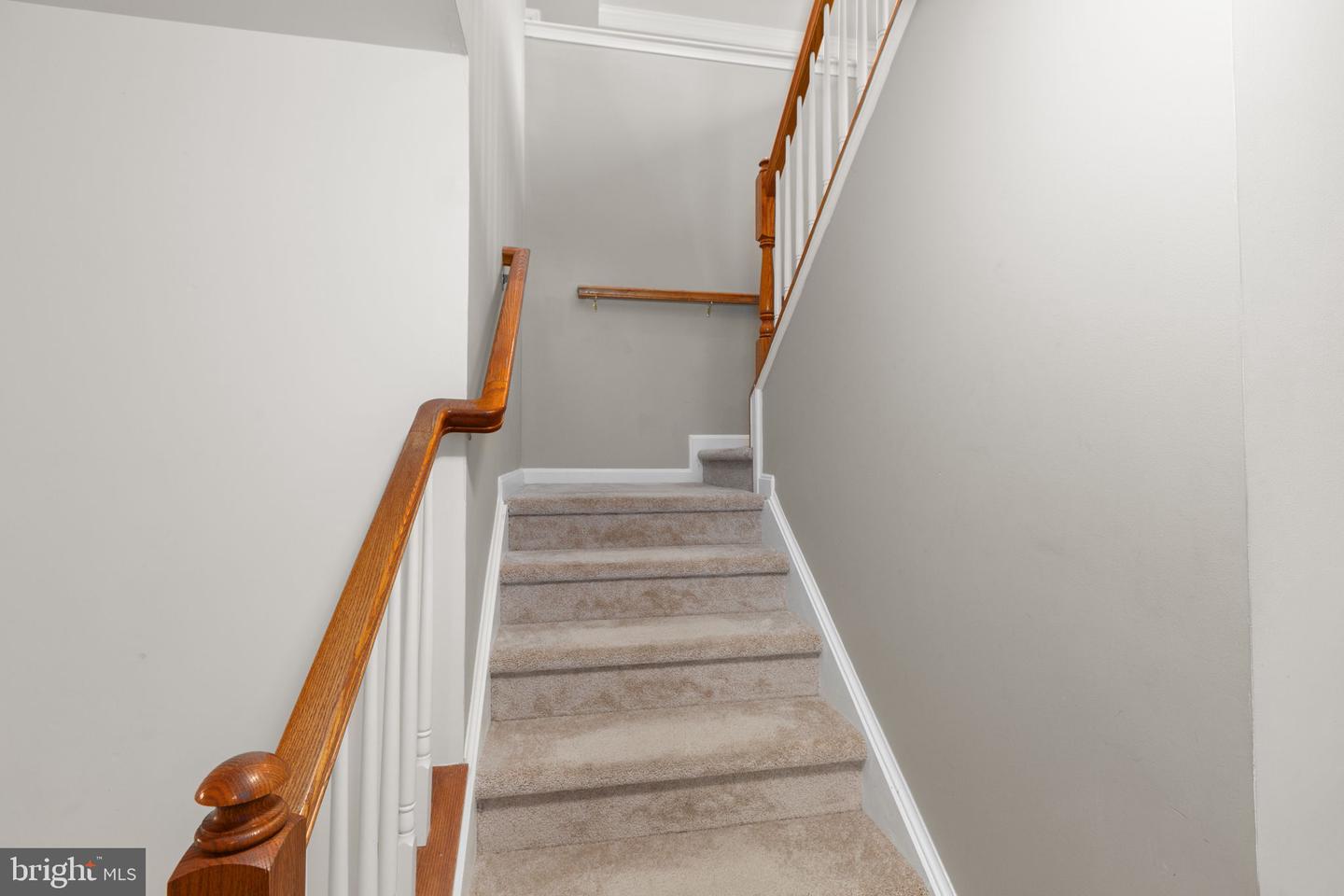 12 Wister Dr Property Photo 30
