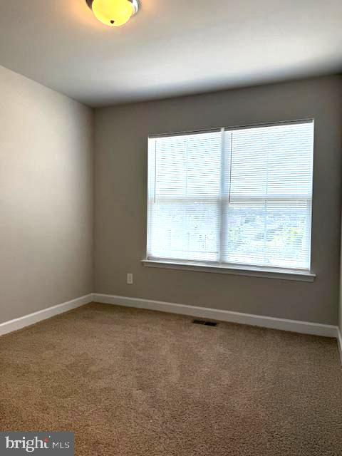 54 Andrews Pl Property Photo 11