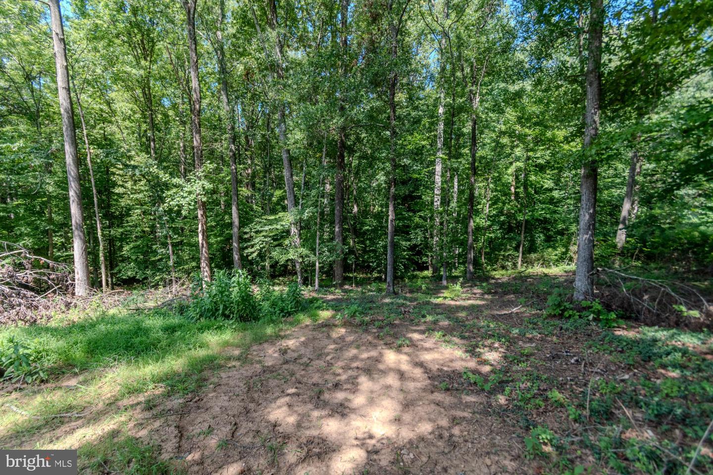 428 Ingleside Dr Property Photo 45