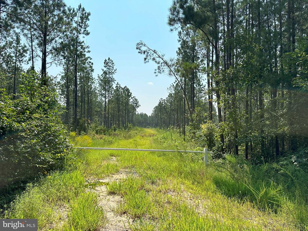 Plank Road (rt 35) Property Photo