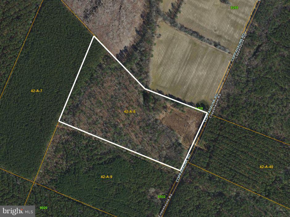 00 Coppahaunk Rd Property Photo 8