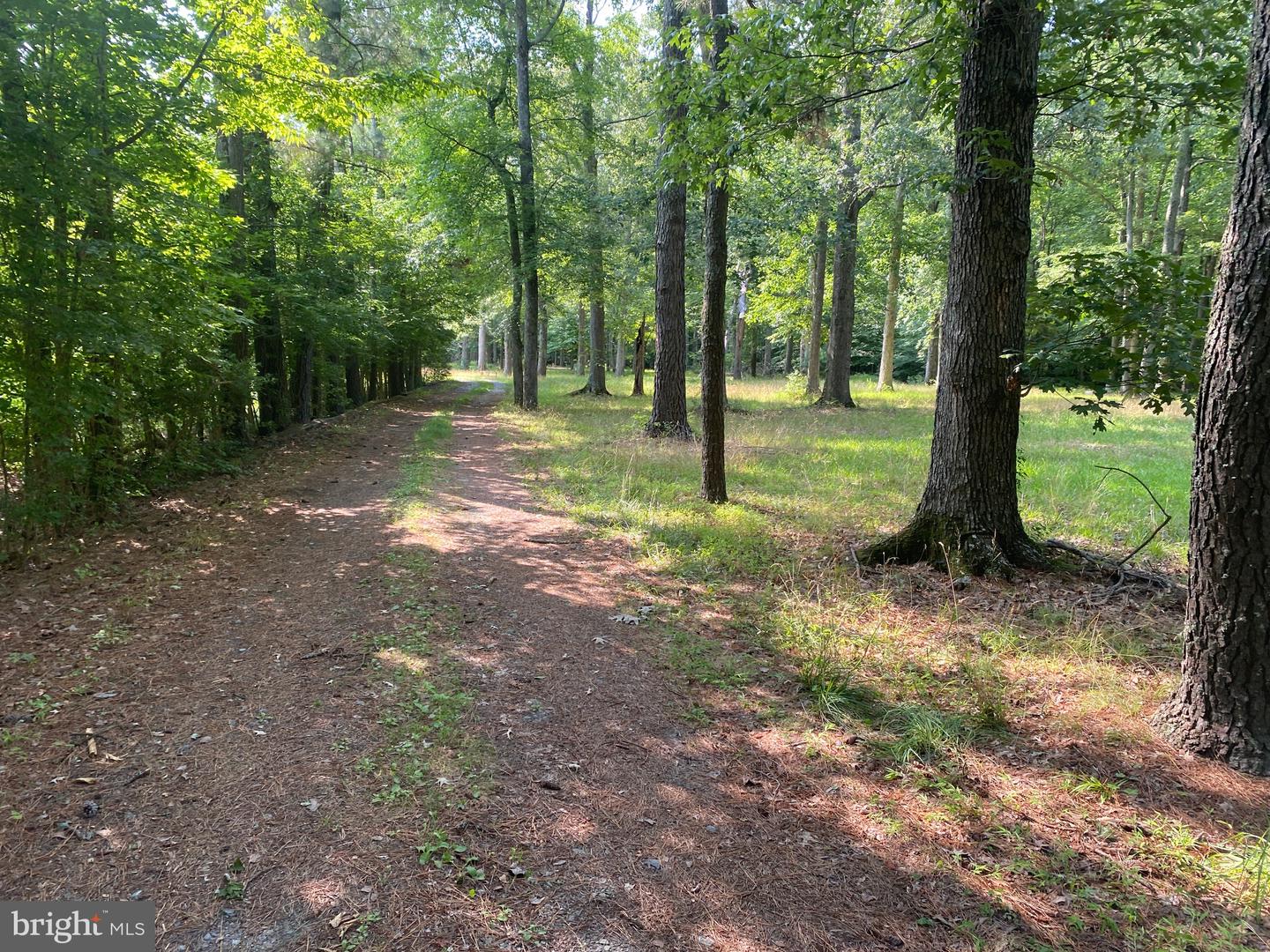 1521 Sandbridge Road Property Photo 3