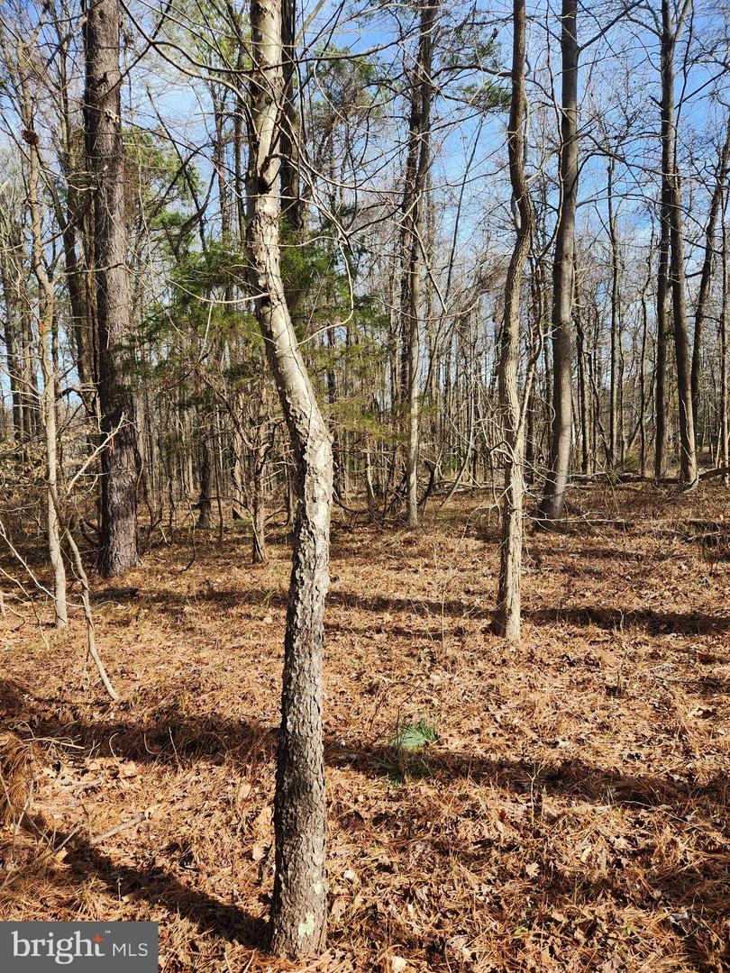 Lot 69 Plantation Property Photo 1