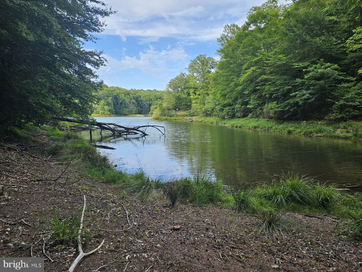 Lot 50 Lightfoot Drive Property Photo 2