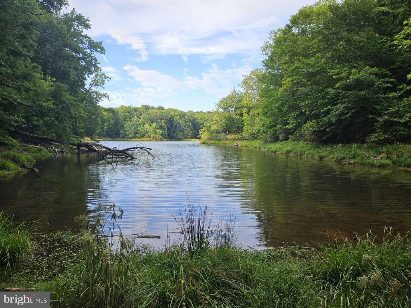 Lot 50 Lightfoot Drive Property Photo 3