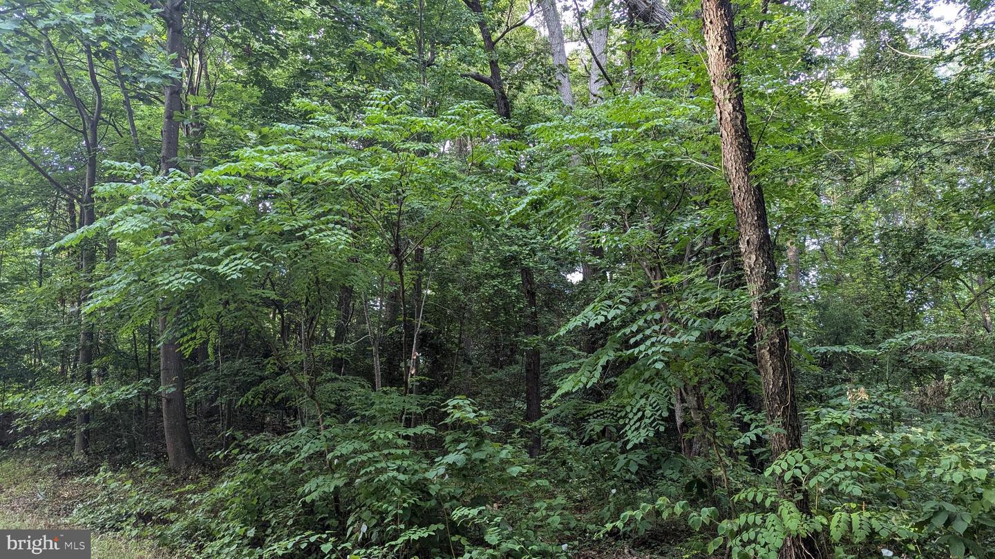 Lot 50 Lightfoot Drive Property Photo 4