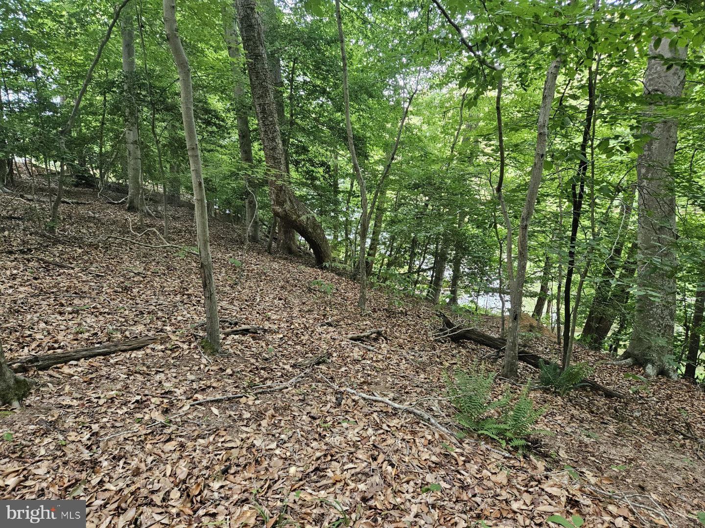 Lot 50 Lightfoot Drive Property Photo 5