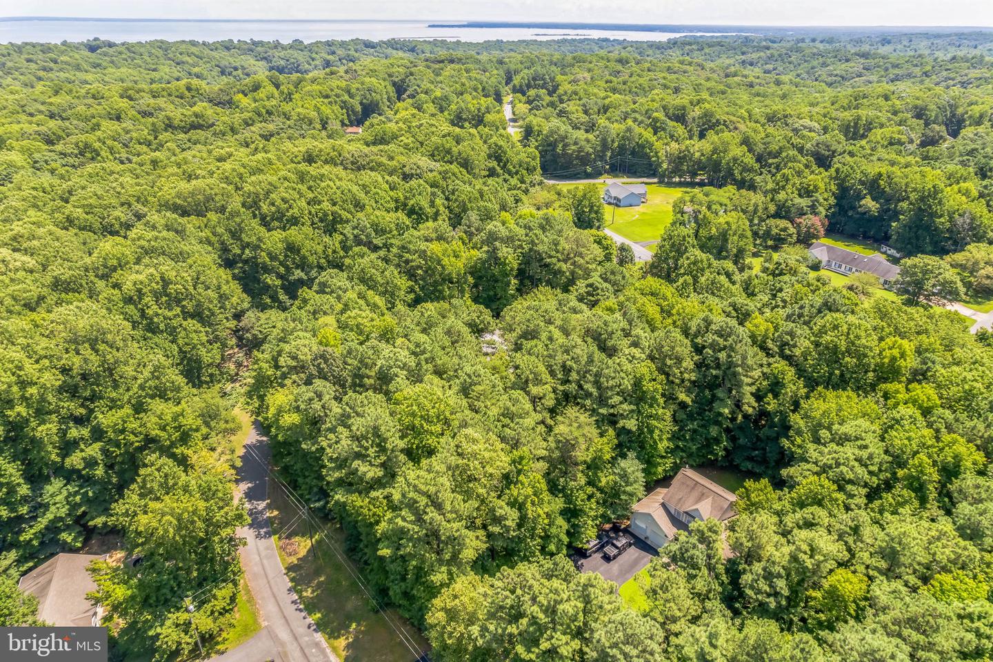 Dragoon Dr Property Photo 11