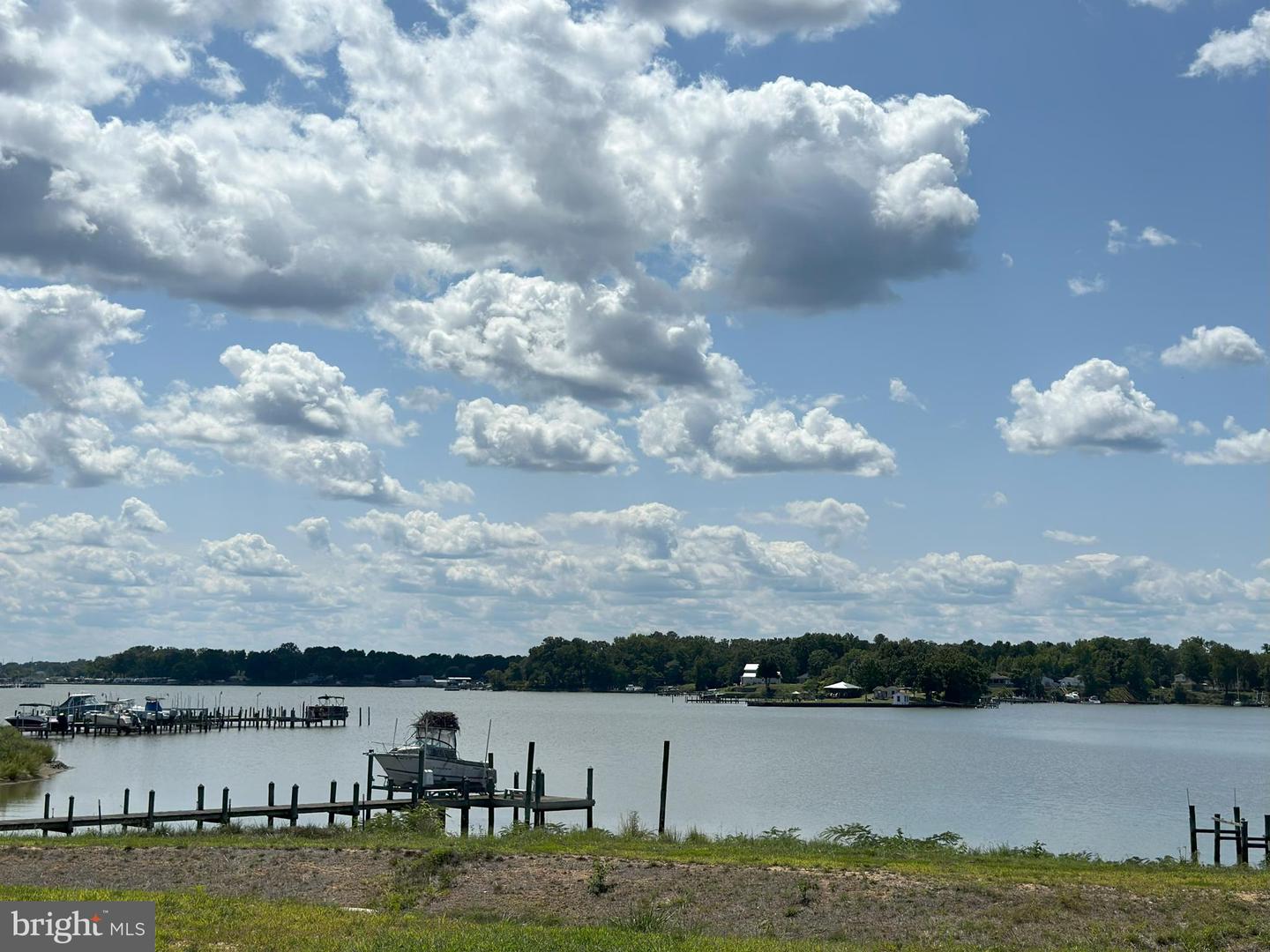 Lot 11 300 Lynnhaven Ave Property Photo 8