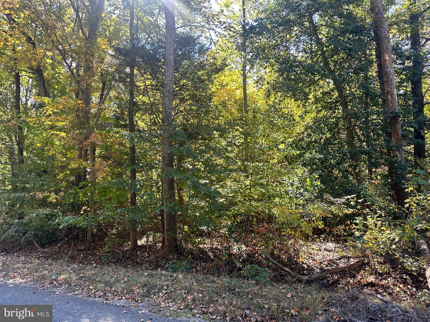 Lot 110 Bishop Dr Property Photo 2