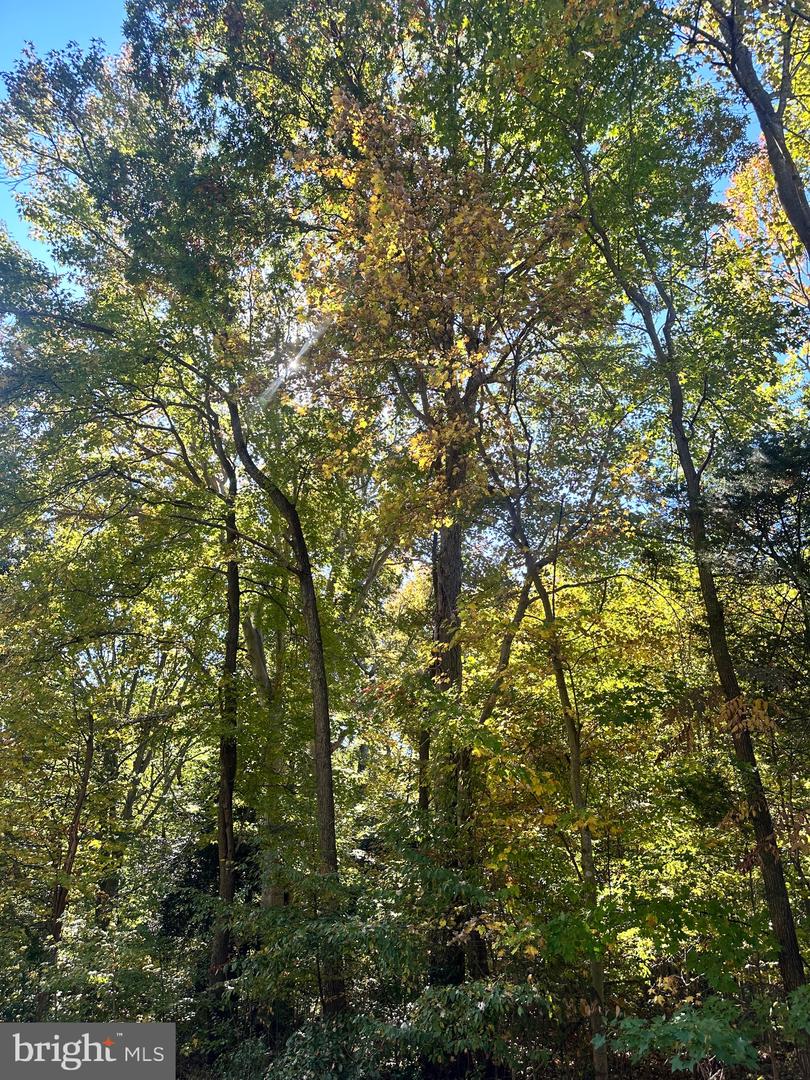 Lot 110 Bishop Dr Property Photo 3