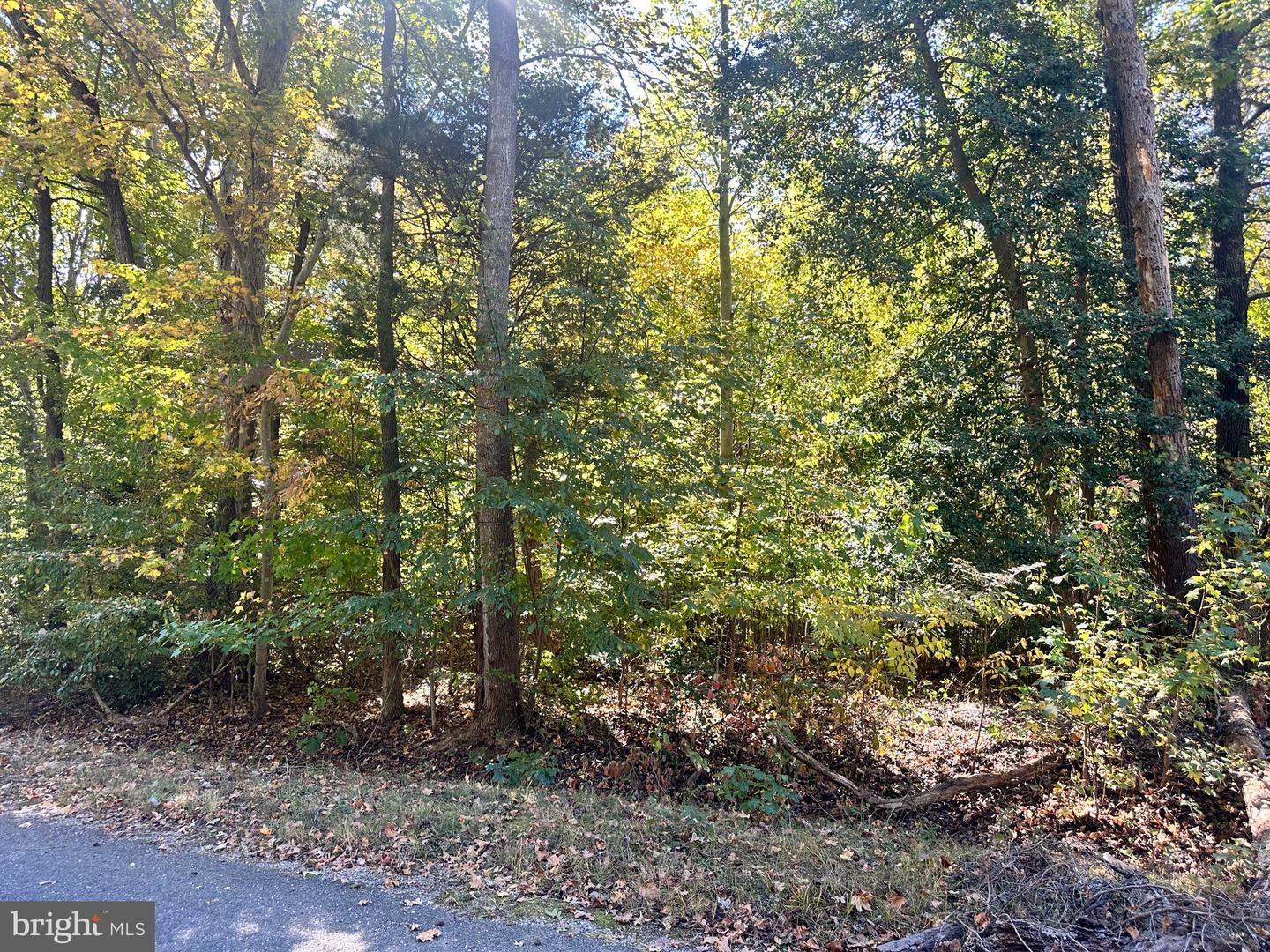 Lot 110 Bishop Dr Property Photo 4