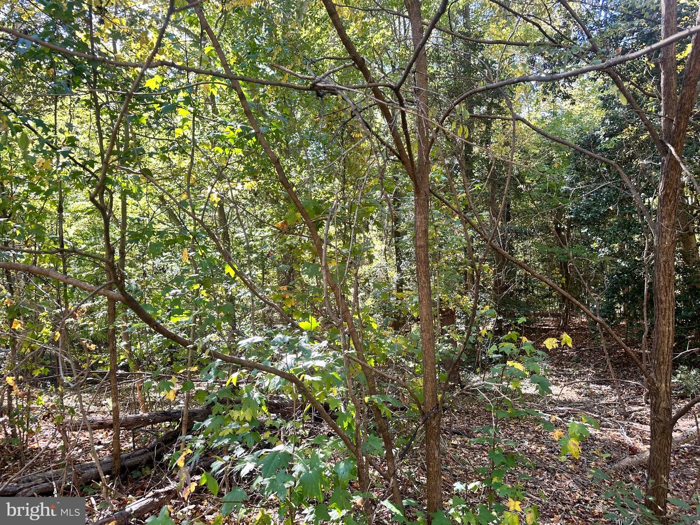 Lot 110 Bishop Dr Property Photo 5