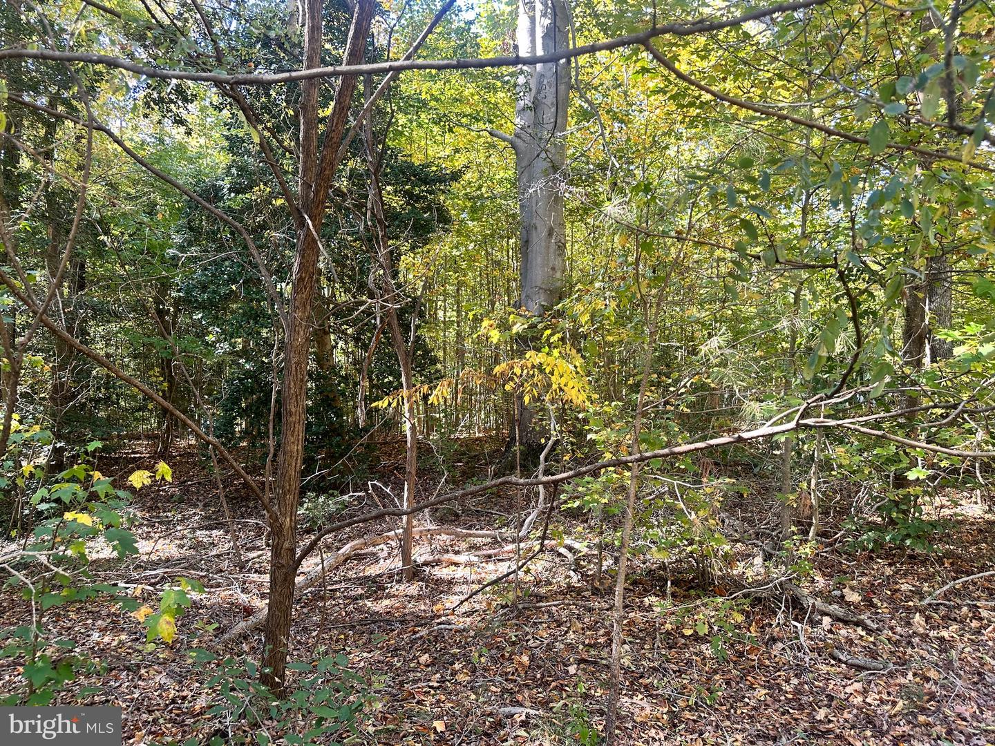 Lot 110 Bishop Dr Property Photo 8