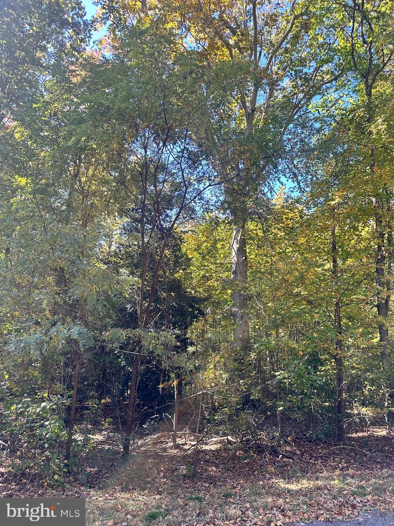 Lot 110 Bishop Dr Property Photo 9