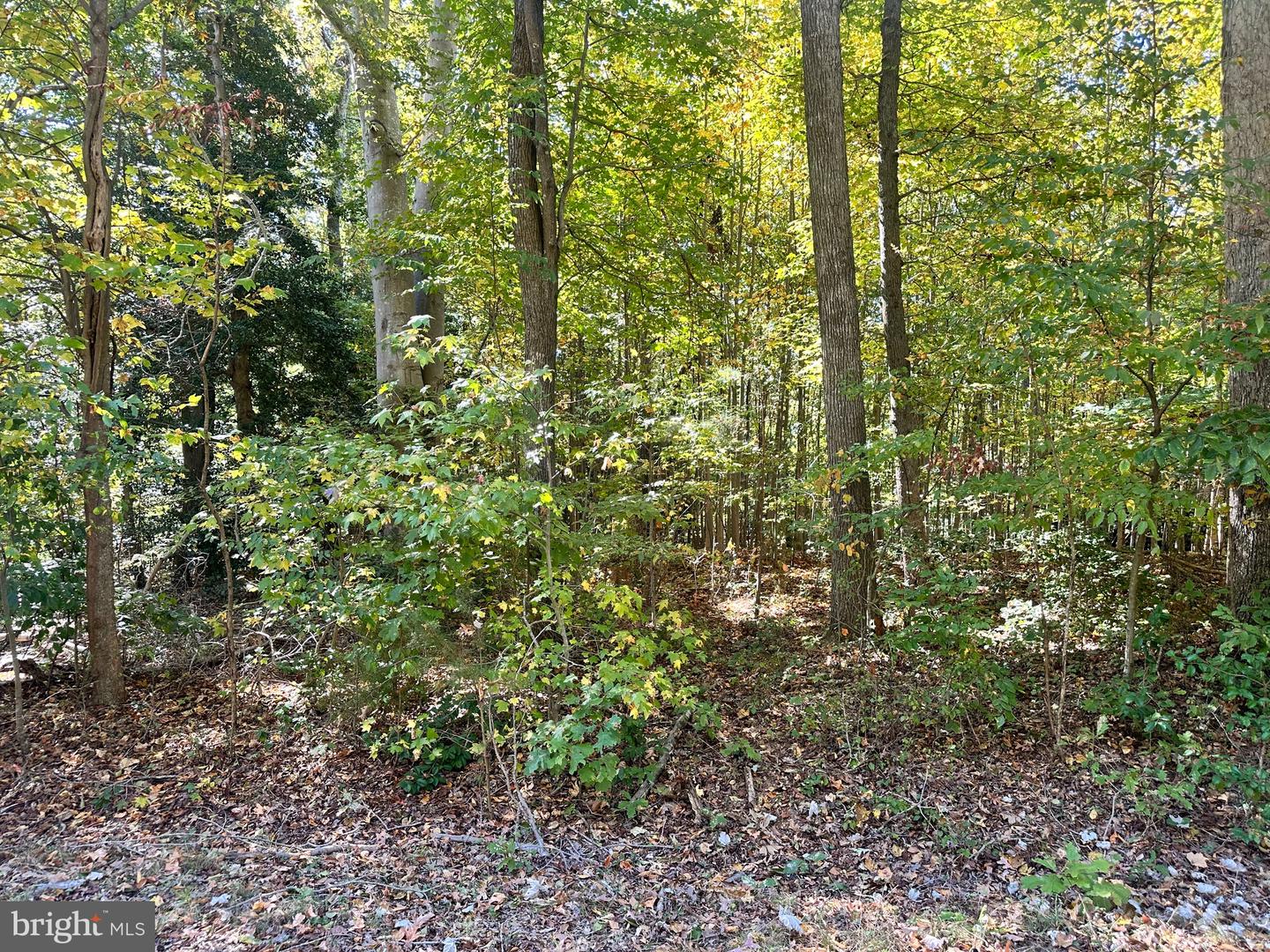 Lot 110 Bishop Dr Property Photo 10