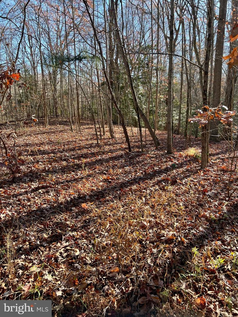 Lot 38 Kings Ct Property Photo