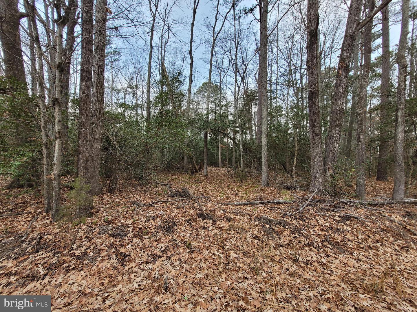 Lot 33 Wildwood Rd Property Photo 1